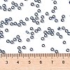 MIYUKI Round Rocailles Beads X-SEED-G008-RR2426-4