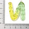 Resin Pendant FIND-Q107-01N-02-3