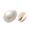 Cowrie Shell Beads SSHEL-T004-05-2