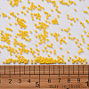 11/0 FGB Grade A Baking Paint Glass Seed Beads X-SEED-N001-A-1002-3