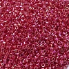 MIYUKI Delica Beads SEED-X0054-DB0162-3