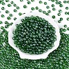Transparent Glass Seed Beads SEED-N007-33B-08-2