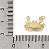 Brass Charms KK-K427-49G-3