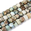 Natural Chrysocolla and Lapis Lazuli Beads Strands G-Q616-02A-03-2