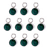 10Pcs Glass Rhinestone Charms STAS-TA0003-26I-1