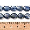 Natural Kyanite Beads Strands G-H335-D01-8x10mm-A-5