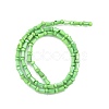 Natural Freshwater Shell Beads Strands SHEL-G013-02E-2