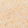 TOHO 8/0 Round Beads X-SEED-TR08-0147-2