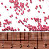 11/0 FGB Grade A Baking Paint Glass Seed Beads X-SEED-N001-A-1045-3