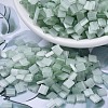 MIYUKI TILA Beads LS-X-SEED-J020-TL2560-1