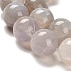 Dyed Natural Agate Beads Strands G-G175-A13-01-4