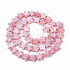 Freshwater Shell Beads Strands SHEL-T014-009F-2