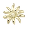 Alloy Pendants PALLOY-B016-05G-1
