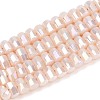 Electroplate Opaque Glass Beads Strands EGLA-N022-09A-C04-1