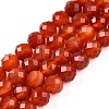 Dyed Natural Agate Beads Strands G-T141-16A-01-1