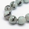 Natural Sesame Jasper/Kiwi Jasper Beads Strands G-L147-8mm-01-1