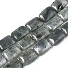 Natural Labradorite Beads Strands G-T121-13-1