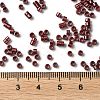 Baking Paint Glass Seed Beads X-SEED-S042-15A-19-4