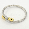 Trendy Men 304 Stainless Steel Torque Bangles BJEW-L087-02-1