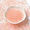 Transparent Colours Glass Seed Beads SEED-P007-02A-05-2