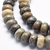 Natural Fossil Coral Beads Strands G-K256-10D-3