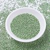 MIYUKI Delica Beads SEED-JP0008-DB0413-2