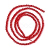 Transparent Glass Beads Strands GLAA-C019-01A-16-2