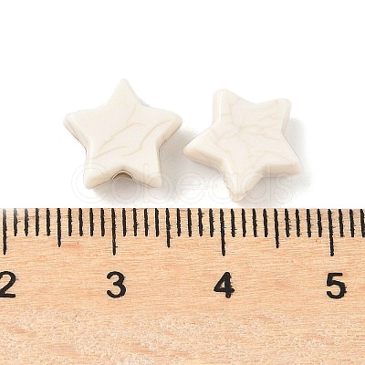 Synthetic Howlite Beads G-V001-001C-1