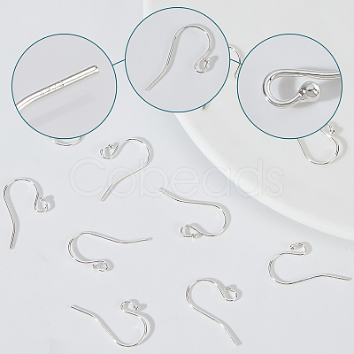 10 Pair 925 Sterling Silver Earring Hooks STER-BBC0001-16-1