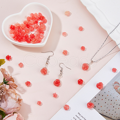 60Pcs 3 Styles Resin Beads RESI-HS0001-12-1