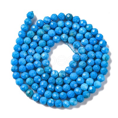 Natural Howlite Beads Strands G-C025-02B-10-1