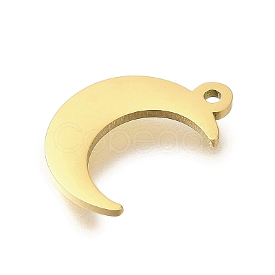 304 Stainless Steel Charms STAS-U027-10G-04-1