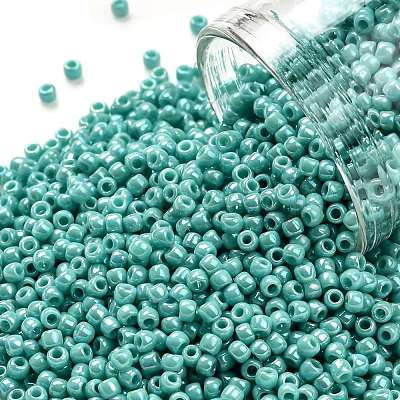 TOHO 11/0 Round Beads X-SEED-TR11-0413-1