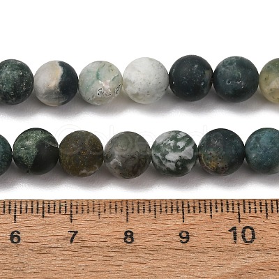 Natural Tree Agate Beads Strands G-T106-038-1