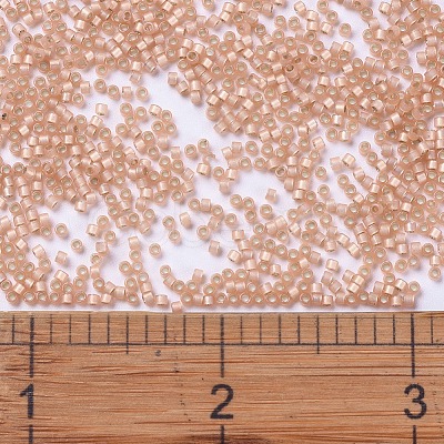 MIYUKI Delica Beads SEED-X0054-DB0622-1