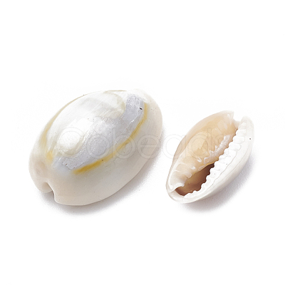 Cowrie Shell Beads SSHEL-T004-05-1