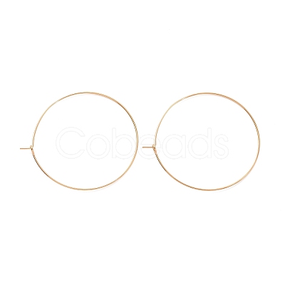 Ion Plating(IP) 316L Surgical Stainless Steel Hoop Earring Findings STAS-D164-06G-A-1