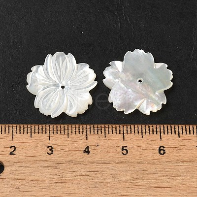 Natural White Shell Beads SHEL-M021-08A-1