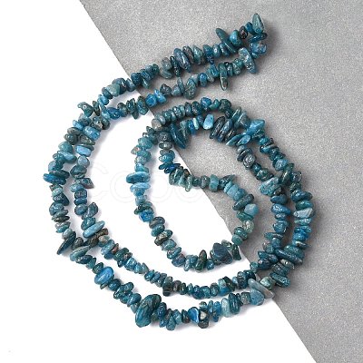 Natural Apatite Beads Strands X-G-F666-01B-02-01-1
