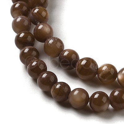 Natural Freshwater Shell Beads Strands SHEL-H003-03D-1