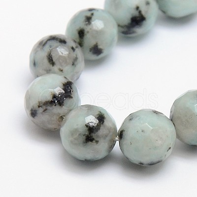Natural Sesame Jasper/Kiwi Jasper Beads Strands G-L147-8mm-01-1