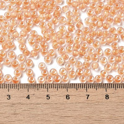 Transparent Glass Round Seed Beads SEED-B001-05A-31-1