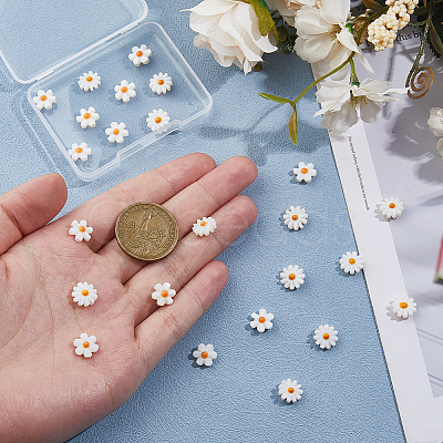 24Pcs 2 Styles Natural Freshwater Shell Beads SHEL-HS0001-05-1