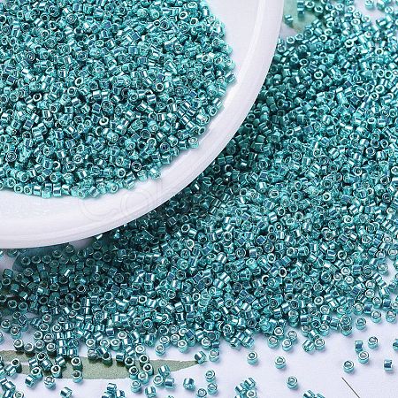 MIYUKI Delica Beads X-SEED-J020-DB0427-1