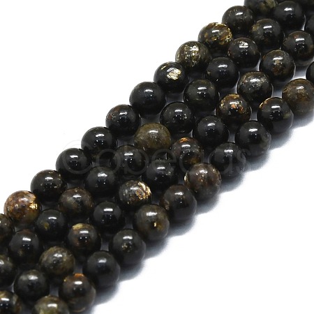 Natural Biotite Beads Strands G-P457-C02-01-1