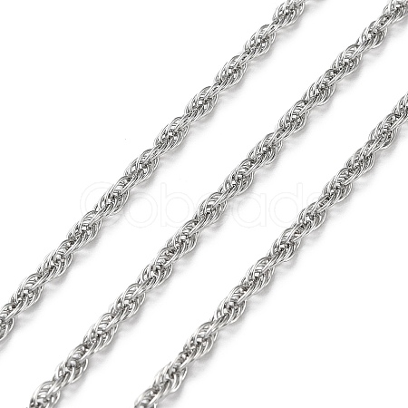 Tarnish Resistant 304 Stainless Steel Rope Chains CHS-G027-08B-P-1