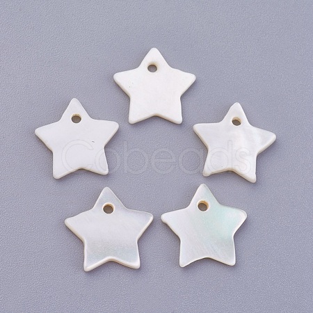 Shell Pendants BSHE-P026-01D-1
