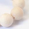 Frosted Natural Fossil Round Bead Strands G-E334-8mm-22-4