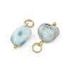 Natural Larimar Pendants PALLOY-JF05952-2