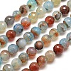 Dyed Natural Agate Faceted Round Beads Strands G-E268-20-1